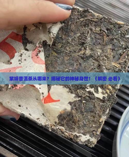 紫娟普洱茶的来历