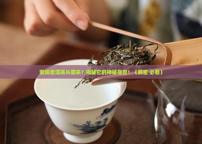 紫娟普洱茶的来历