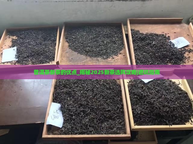 普洱茶新茶的优点