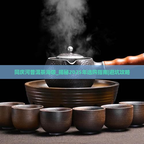 同庆河普洱茶海拔