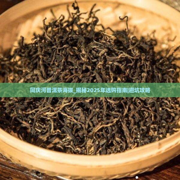 同庆河普洱茶海拔