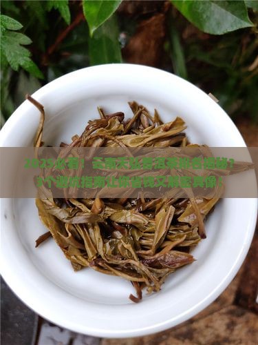 云南天弘普洱茶排名