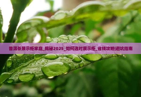 普洱茶展示柜家庭