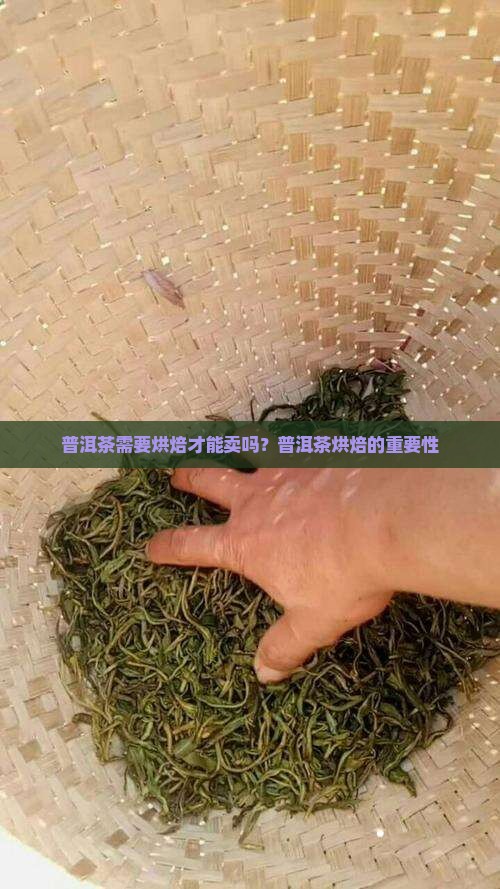 普洱茶饼要不要烘焙才能卖