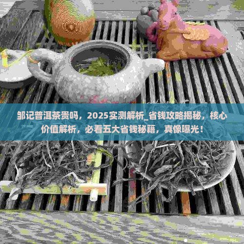 邹记普洱茶贵吗