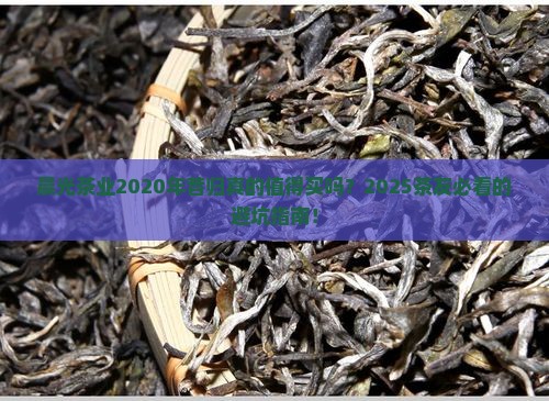 晨光茶业2020年昔归