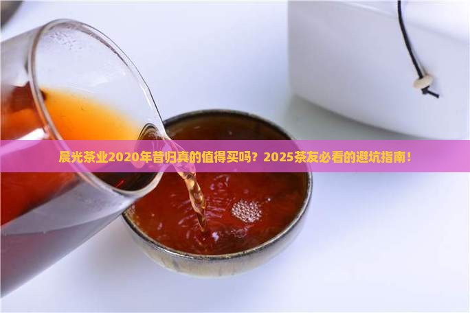 晨光茶业2020年昔归