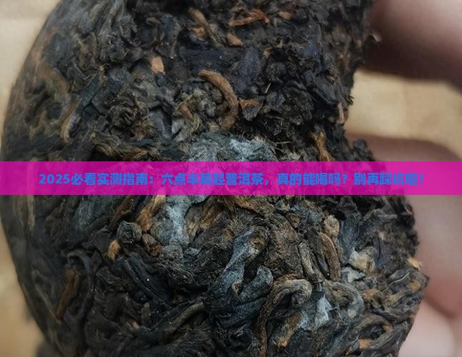 每天早上六点半普洱茶能喝吗