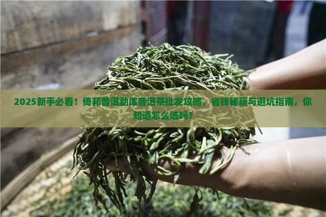 倚邦普洱勐库普洱茶批发