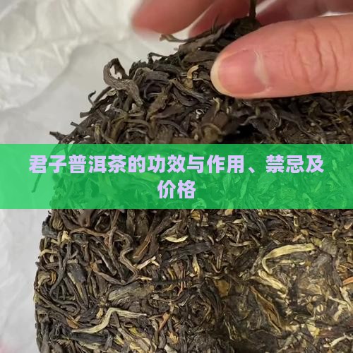 君子普洱茶的功效