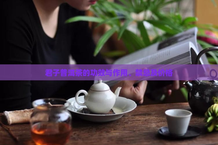 君子普洱茶的功效