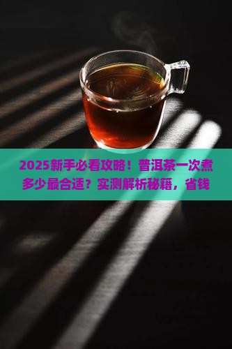 普洱茶一次煮多少