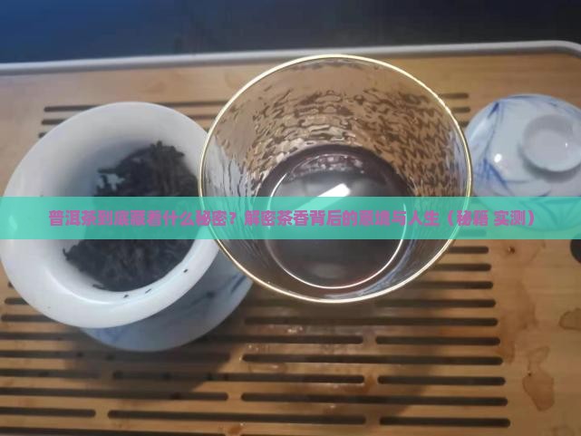 普洱茶意境名言