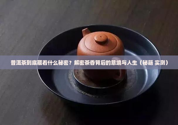 普洱茶意境名言
