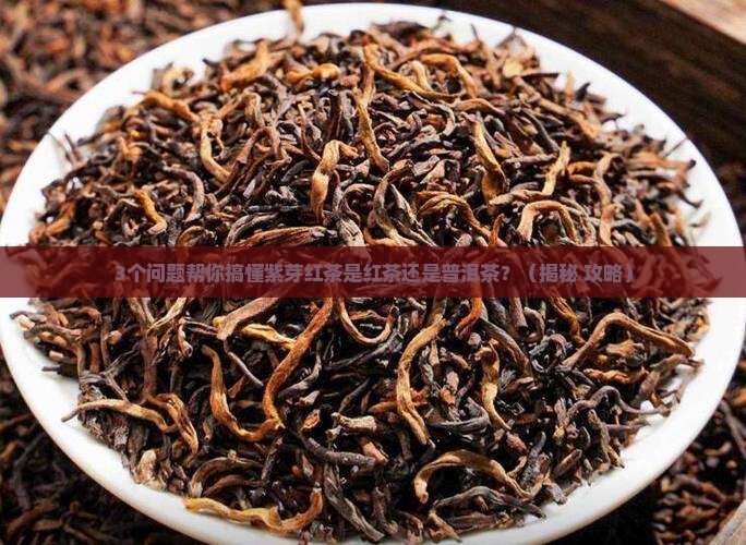 紫芽红茶是红茶还是普洱茶