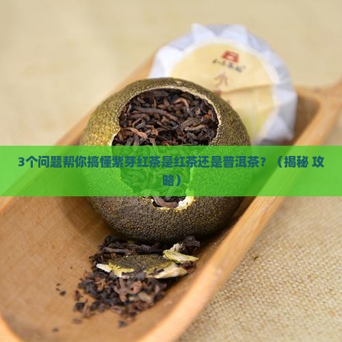 紫芽红茶是红茶还是普洱茶
