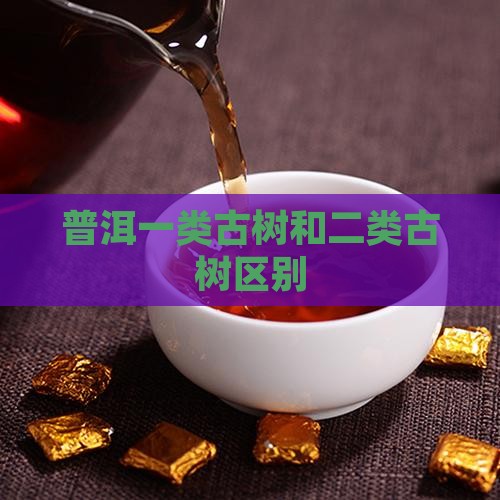 普洱一类古树和二类古树区别