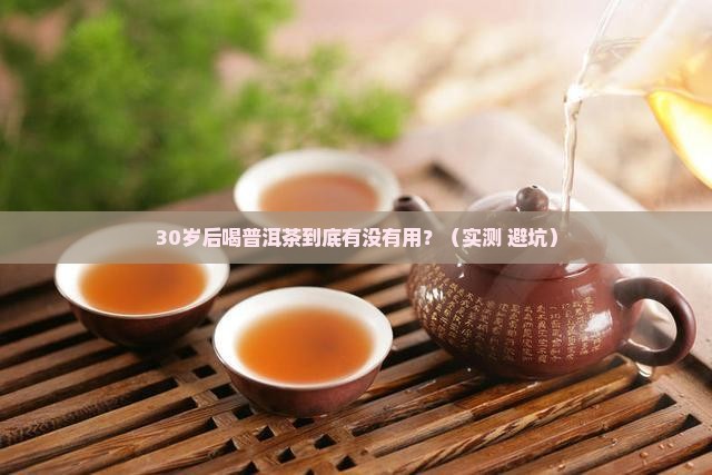 成年人喝普洱茶