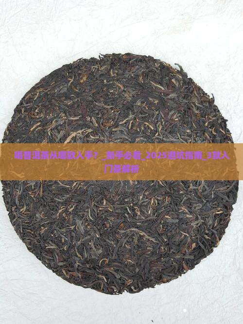 喝普洱茶从哪款入手