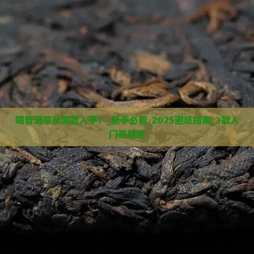 喝普洱茶从哪款入手