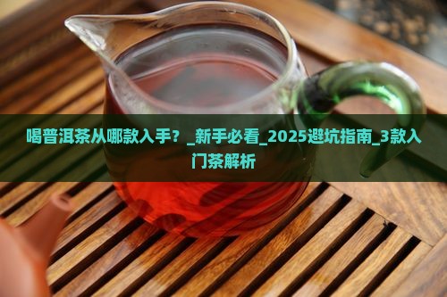 喝普洱茶从哪款入手