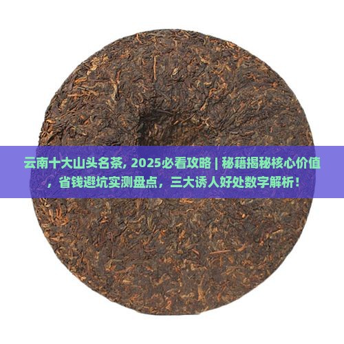 云南十大山头名茶