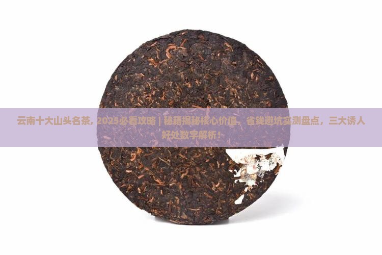 云南十大山头名茶