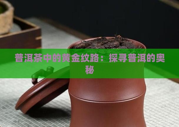 普洱茶有黄金纹路