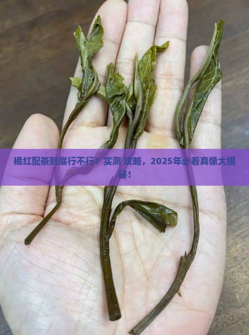 橘红能和茶叶一起喝吗