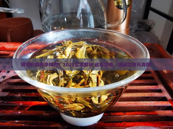 肾茶的作用肾茶的功效和药性