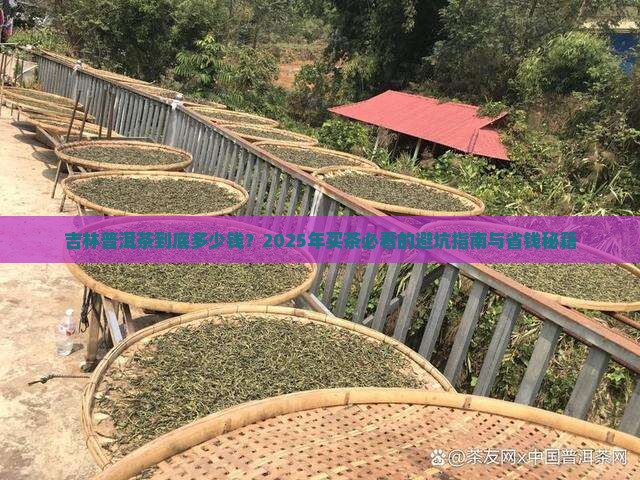 吉林普洱茶多少钱 吉林普洱茶多少钱