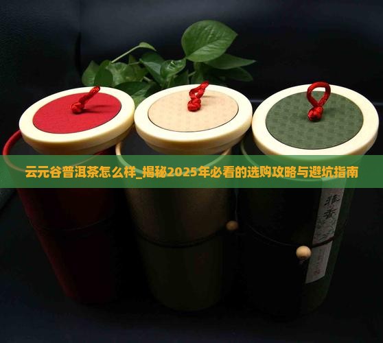 云元谷普洱茶怎么样