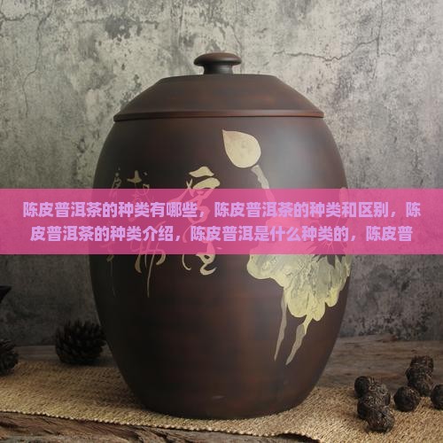 陈皮普洱茶的种类