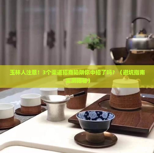 玉林熟普洱茶渠道招商 玉林熟普洱茶渠道招商