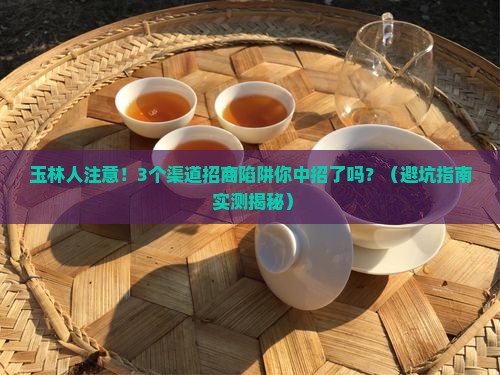 玉林熟普洱茶渠道招商 玉林熟普洱茶渠道招商