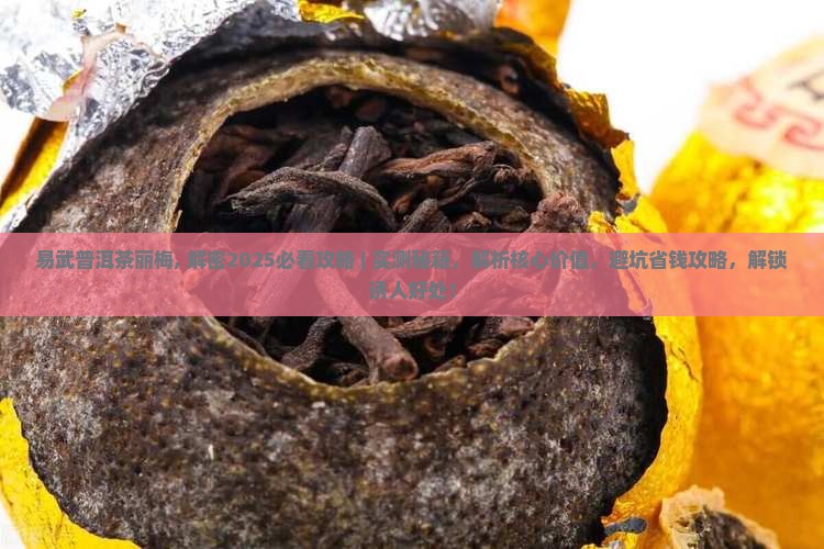易武普洱茶丽梅