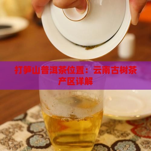 打笋山普洱茶位置