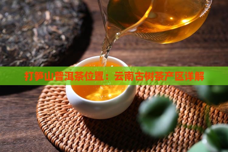 打笋山普洱茶位置