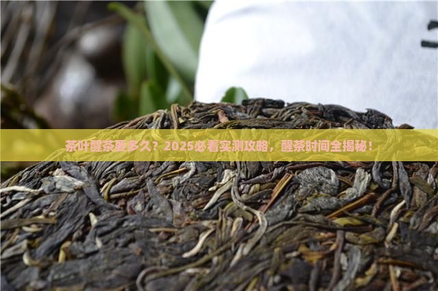 茶叶醒茶要多久