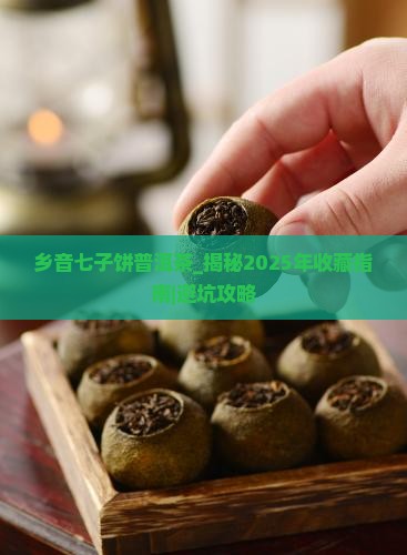 乡音七子饼普洱茶