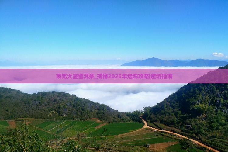 南充大益普洱茶