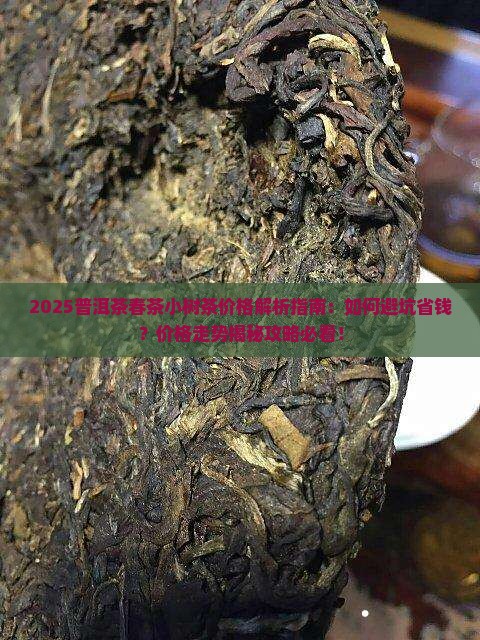 普洱茶春茶小树茶价格