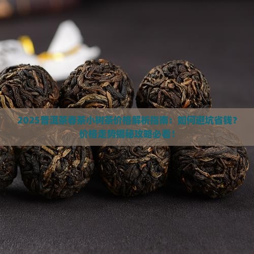 普洱茶春茶小树茶价格