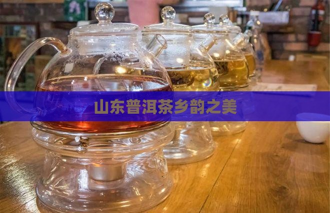 山东普洱茶乡韵
