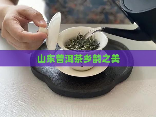山东普洱茶乡韵
