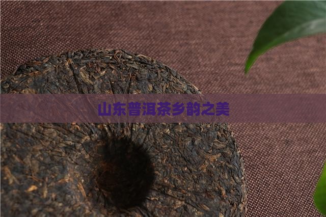 山东普洱茶乡韵
