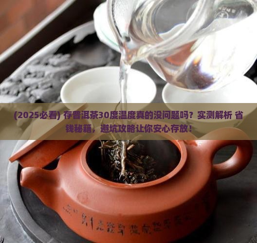 存普洱茶温度30度