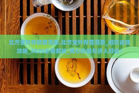 北方室外存放普洱茶