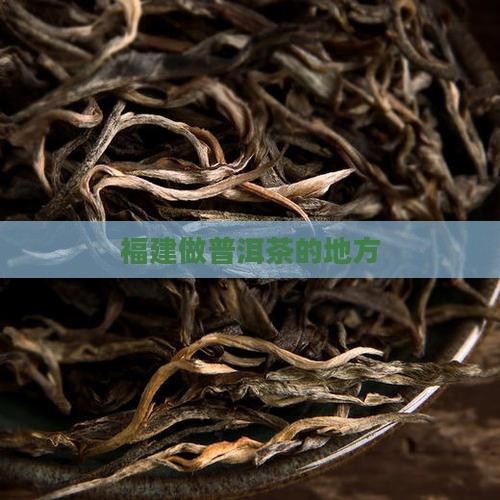 福建做普洱茶的地方