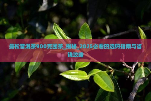 曼松普洱茶900克团茶